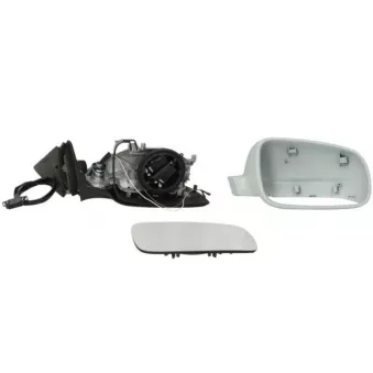 Rétroviseur extérieur BLIC OEM 3B1857522