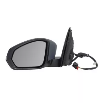 Rétroviseur extérieur BLIC 5402-43-2557316P pour SKODA FABIA 1.0 TSI - 110cv