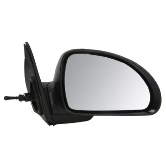 Rétroviseur extérieur BLIC 5402-53-2002852P pour FORD TOURNEO 1.4 - 109cv