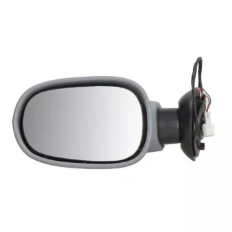 Rétroviseur extérieur BLIC OEM 6001546989