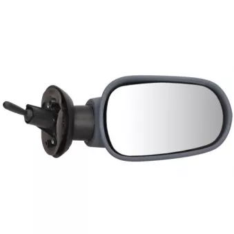 Rétroviseur extérieur BLIC OEM 6001546990