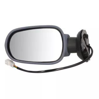 Rétroviseur extérieur BLIC OEM 6001547523