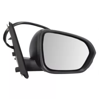 Rétroviseur extérieur BLIC OEM 963017708R