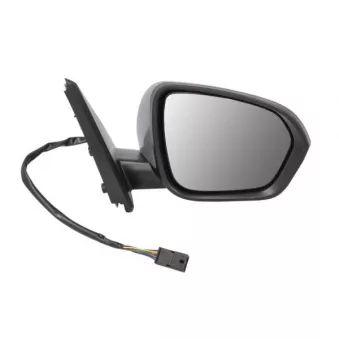 Rétroviseur extérieur BLIC OEM 963017708R