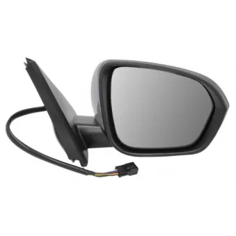 Rétroviseur extérieur BLIC OEM 963016324R