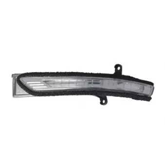 BLIC 5403-20-0543106P - Feu clignotant avant droit