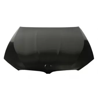 Capot-moteur BLIC OEM 41007440427