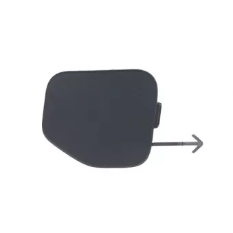 Recouvrement de pare-chocs, dispositif d'attelage avant gauche BLIC 5513-00-8190921P