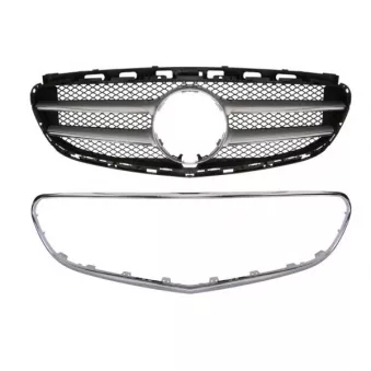 Grille de radiateur BLIC 5601-00-3529993PP
