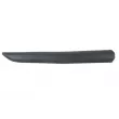 BLIC 5703-04-0559572P - Baguette et bande protectrice, porte avant droit