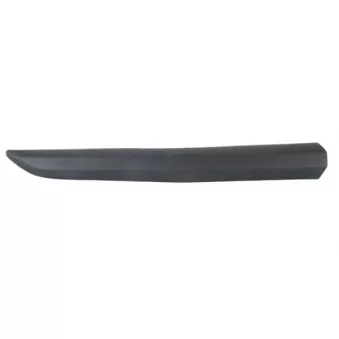 Baguette et bande protectrice, porte avant droit BLIC 5703-04-0559572P