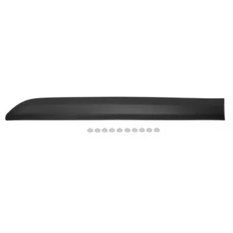 Baguette et bande protectrice, porte arrière droit BLIC 5703-04-0559574P