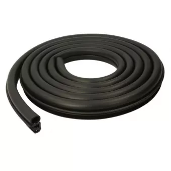 Joint d'étanchéité de porte BLIC 5703-04-2518501P pour FORD TOURNEO 1.5 TDCi - 95cv