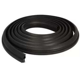 Joint d'étanchéité de porte BLIC 5703-04-2555507P pour FORD FOCUS 2.2 TDCi - 150cv