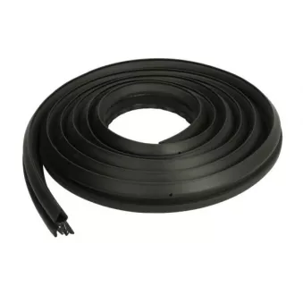 Joint d'étanchéité de porte BLIC OEM 13121764