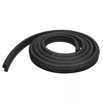 Joint d'étanchéité de porte BLIC 5703-04-5027502P pour OPEL MERIVA 1.7 CDTI - 110cv