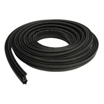 Joint d'étanchéité de porte BLIC OEM 13121764