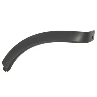 Baguette et bande protectrice, aile arrière gauche BLIC 5703-04-5721593P pour PORSCHE CAYENNE 3.6 S - 420cv