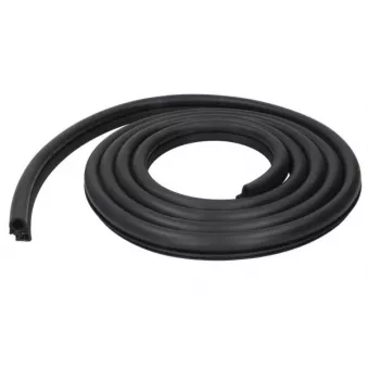 Joint d'étanchéité de porte BLIC 5703-04-6010506P pour RENAULT KANGOO 1.6 16V - 95cv