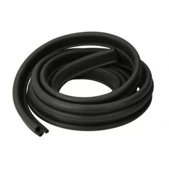 Joint d'étanchéité de porte BLIC 5703-04-6010508P pour RENAULT KANGOO 1.6 16V - 95cv