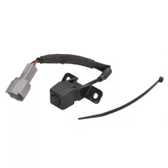Caméra de marche arrière, aide au stationnement BLIC 6006-00-0039P pour HYUNDAI SANTA FÉ 2.4 - 192cv