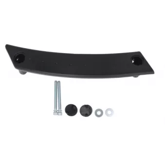 Poignet de porte, équipment intérieur avant gauche BLIC 6010-01-039409PK