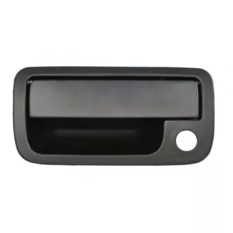Poignée extérieure de porte BLIC 6010-01-056417PP pour VOLKSWAGEN AMAROK 3.0 TDI - 163cv