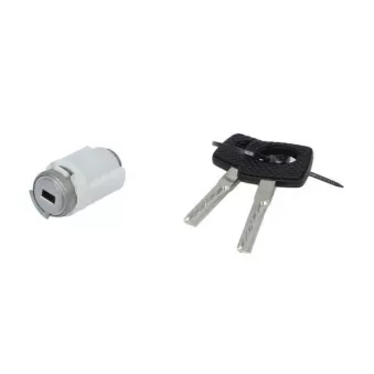 Cylindre de serrure BLIC 6010-02-019427P