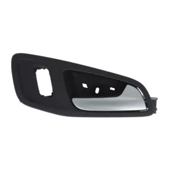 Poignet de porte, équipment intérieur avant gauche BLIC 6010-03-056408P
