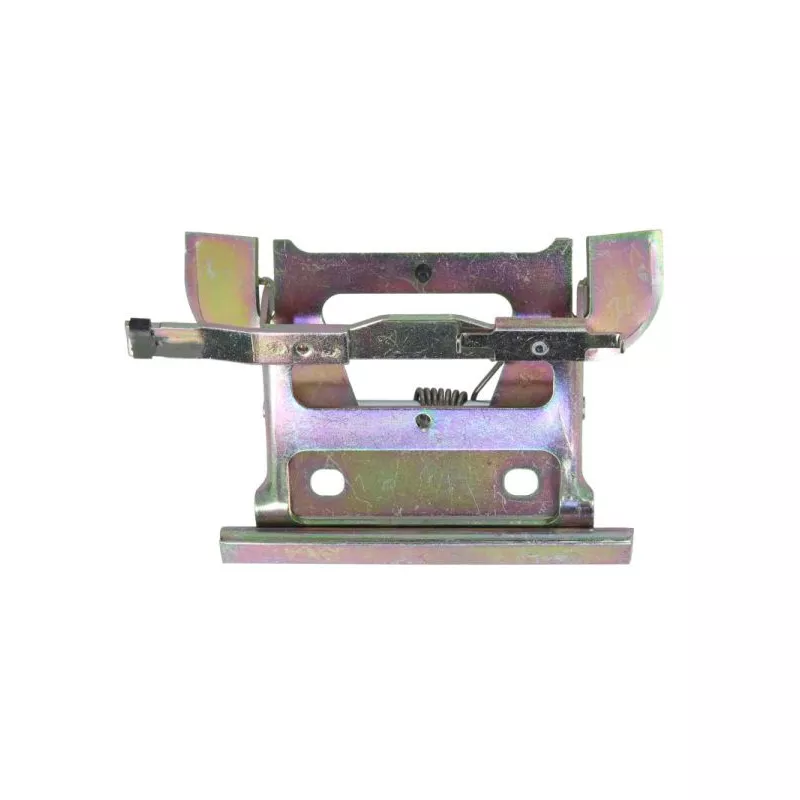 Poignée extérieure de porte avant droit BLIC 6010-05-005402P - Visuel 1