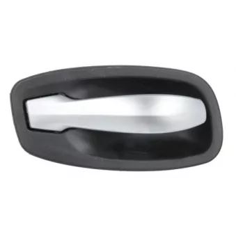 Poignée de porte BLIC 6010-05-017409PP pour BMW Série 5 530 i xDrive - 272cv