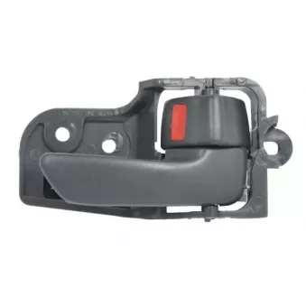 Poignet de porte, équipment intérieur avant droit BLIC 6010-19-017408P