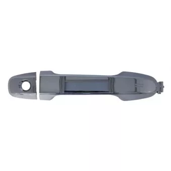 Poignée de porte BLIC OEM 6921752030C0