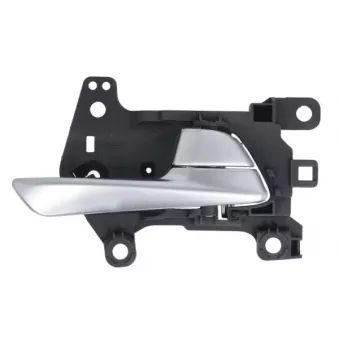 Poignet de porte, équipment intérieur arrière gauche BLIC 6010-20-061409TP