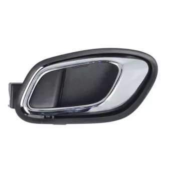 Poignet de porte, équipment intérieur arrière gauche BLIC 6010-53-043409PTP
