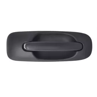 Poignée extérieure de porte BLIC 6010-58-013402P