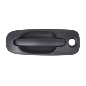 Poignée extérieure de porte avant droit BLIC 6010-58-013410P