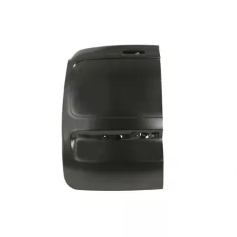 Porte, Carrosserie arrière gauche BLIC 6013-00-1310711P