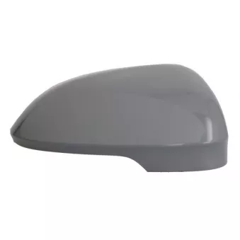 Revêtement, rétroviseur extérieur BLIC 6102-01-2297331P pour VOLKSWAGEN GOLF 2,0 TSI R 4motion - 320cv
