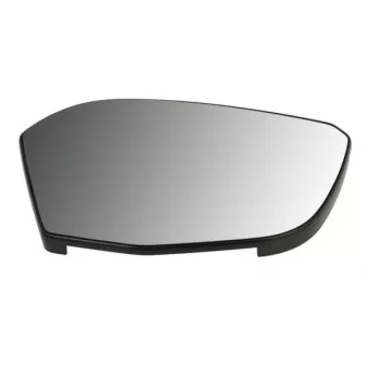 Verre de rétroviseur, rétroviseur extérieur BLIC 6102-21-2323311P