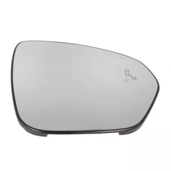 Verre de rétroviseur, rétroviseur extérieur BLIC OEM 963650640R