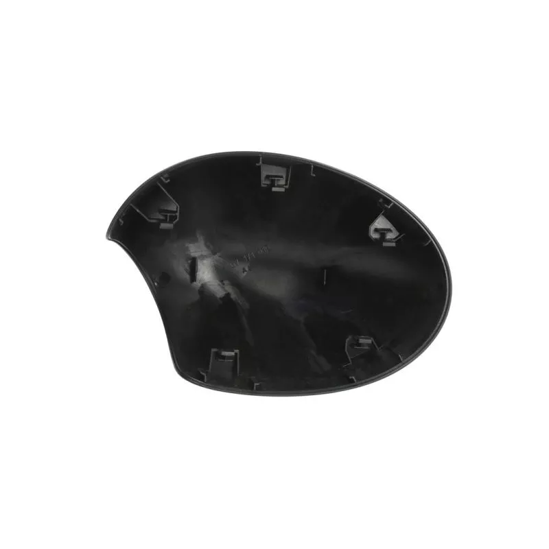 Revêtement, rétroviseur extérieur BLIC 6103-01-1312954P - Visuel 1