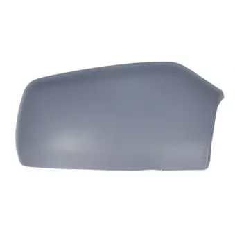 Boitier, rétroviseur extérieur BLIC 6103-01-1322351P