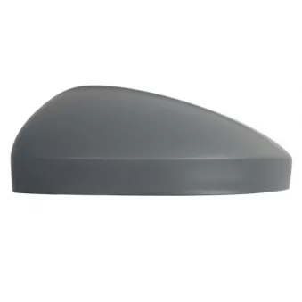 Revêtement, rétroviseur extérieur BLIC 6103-01-1609312P pour VOLKSWAGEN TIGUAN 2.0 TDI - 140cv