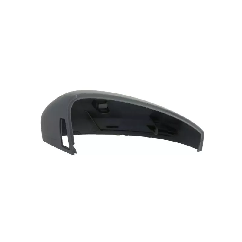 Revêtement, rétroviseur extérieur BLIC 6103-01-1609313P - Visuel 1