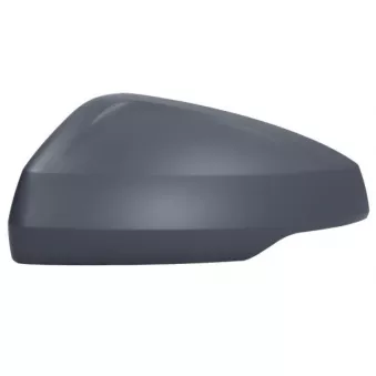 Revêtement, rétroviseur extérieur BLIC OEM 2G0857537AGRU