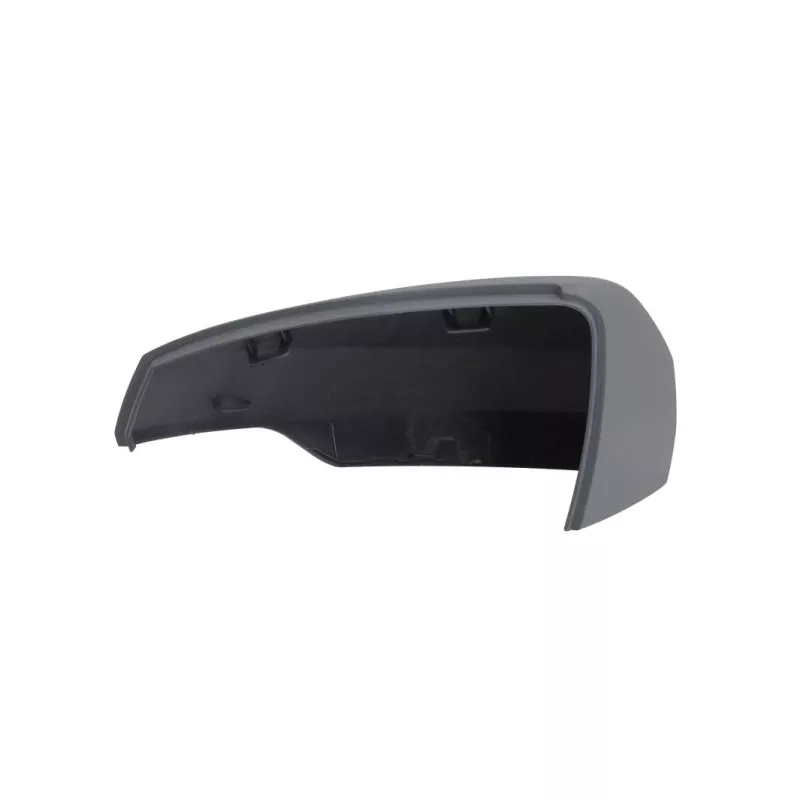 Revêtement, rétroviseur extérieur BLIC 6103-01-1984312P - Visuel 1