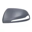 BLIC 6103-02-0875310P - Revêtement, rétroviseur extérieur