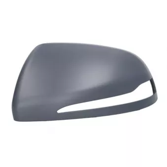 Revêtement, rétroviseur extérieur BLIC 6103-02-0875310P