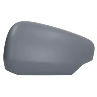 Revêtement, rétroviseur extérieur BLIC 6103-02-2435312P